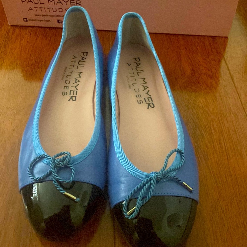 Paul Mayer Ballet Flat
